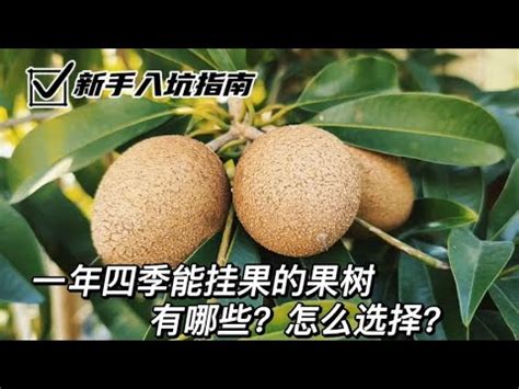 北部適合種什麼水果|北部可以種哪些水果？砂糖橘、熱帶水果、藍莓、百香果都是好選。